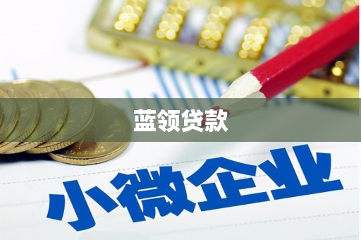 佳县蓝领贷款