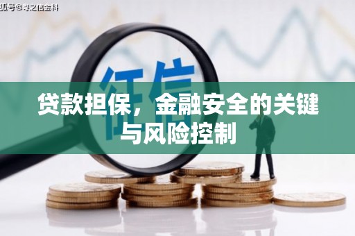 佳县贷款担保，金融安全的关键与风险控制