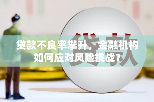 佳县贷款不良率攀升，金融机构如何应对风险挑战？