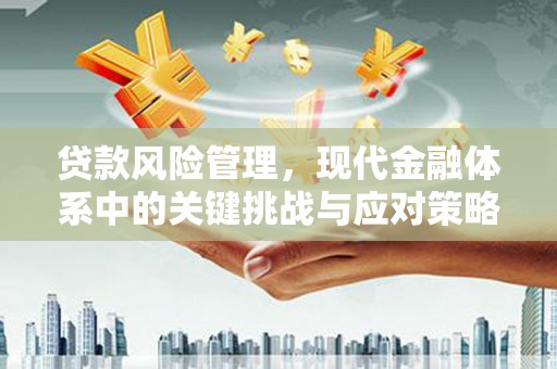 佳县贷款风险管理，现代金融体系中的关键挑战与应对策略