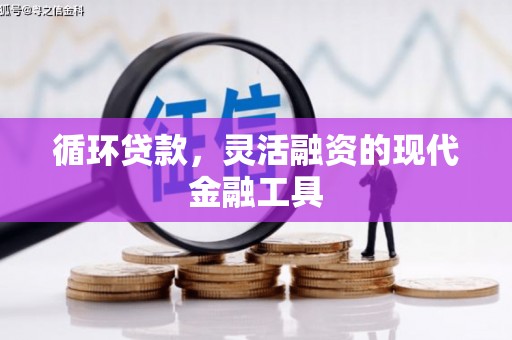 佳县循环贷款，灵活融资的现代金融工具