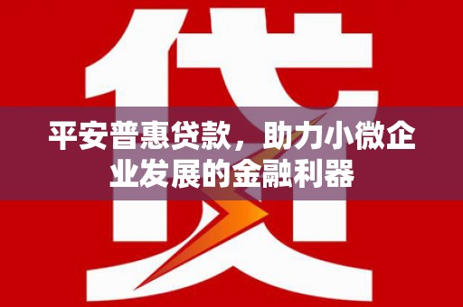 佳县平安普惠贷款，助力小微企业发展的金融利器