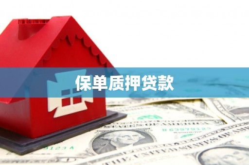 佳县保单质押贷款