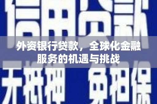 佳县外资银行贷款，全球化金融服务的机遇与挑战
