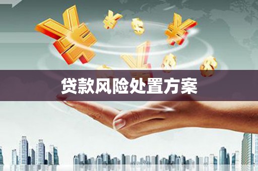 佳县贷款风险处置方案