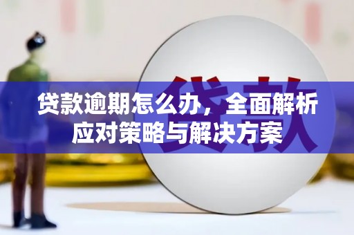 佳县贷款逾期怎么办，全面解析应对策略与解决方案