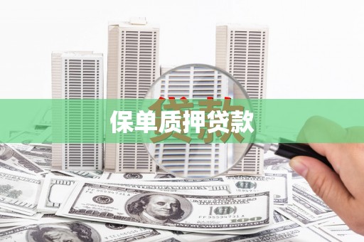 佳县保单质押贷款