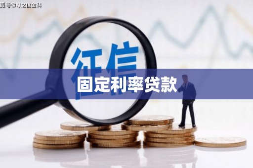 佳县固定利率贷款
