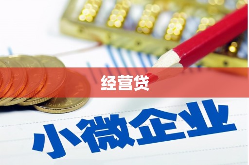 佳县经营贷