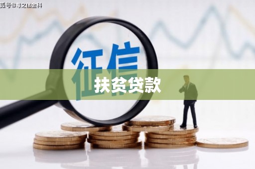 佳县扶贫贷款