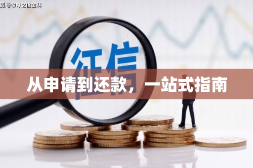 佳县从申请到还款，一站式指南
