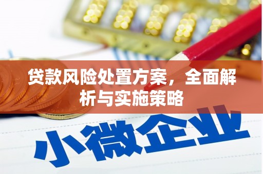 佳县贷款风险处置方案，全面解析与实施策略