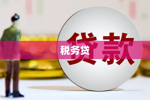佳县税务贷