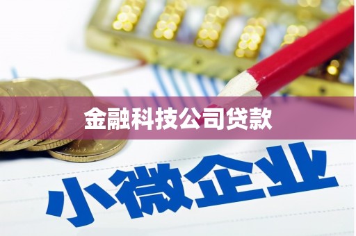 佳县金融科技公司贷款