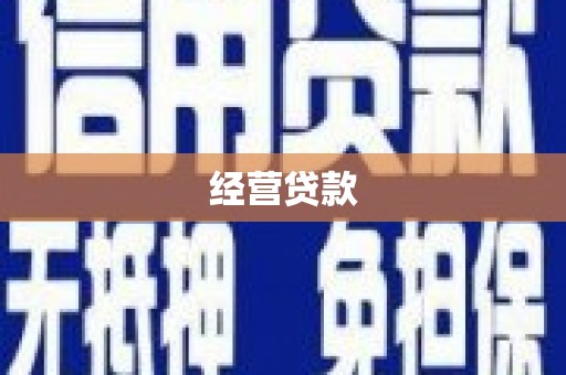 佳县经营贷款