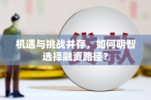 佳县机遇与挑战并存，如何明智选择融资路径？