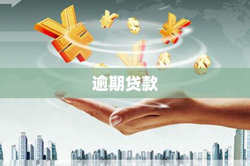 佳县逾期贷款