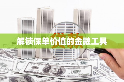 佳县解锁保单价值的金融工具