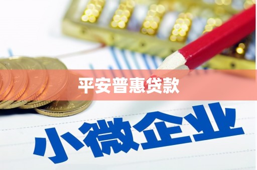 佳县平安普惠贷款