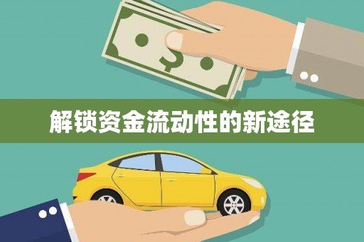 佳县解锁资金流动性的新途径