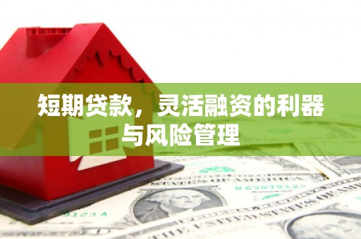 佳县短期贷款，灵活融资的利器与风险管理
