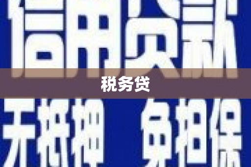 佳县税务贷
