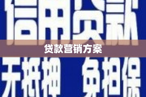 佳县贷款营销方案